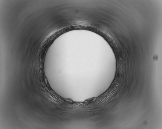 X0000098211112200805151246