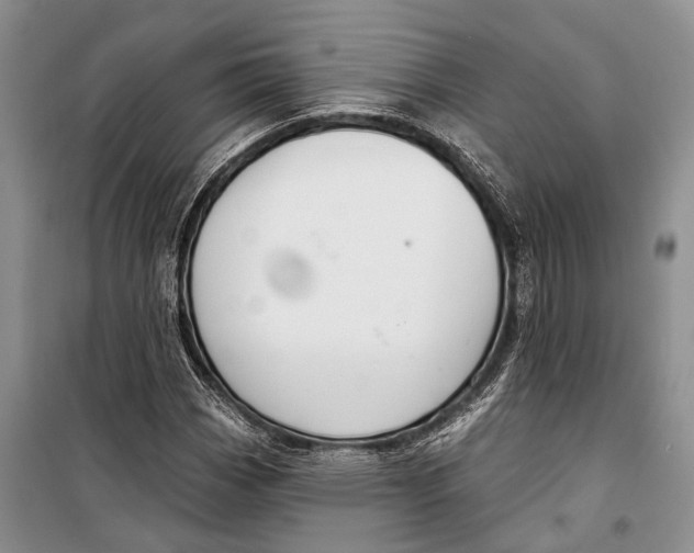 X0000098211113200805151246