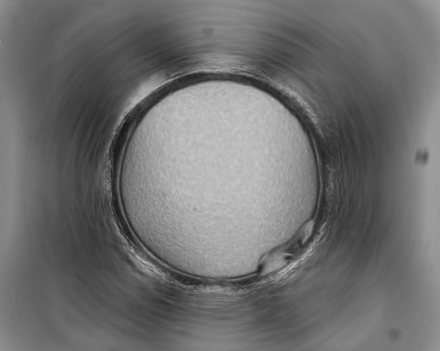 X0000098211114200805151246