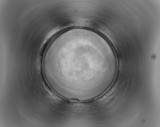 X0000098211115200805151246