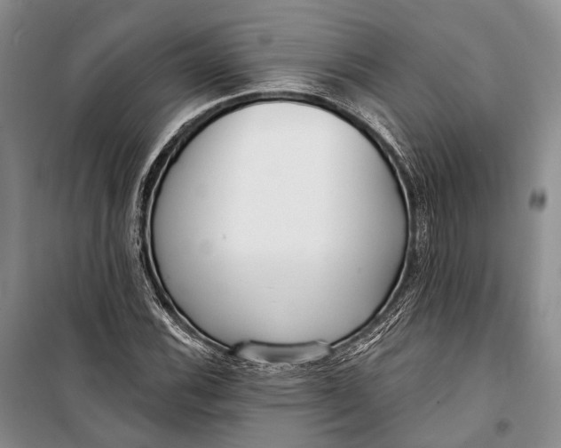 X0000098211116200805151246