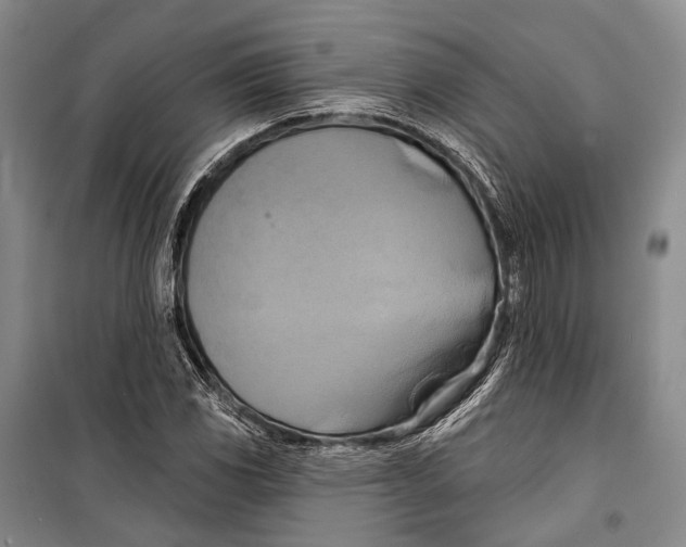 X0000098211117200805151246