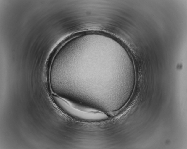 X0000098211118200805151246
