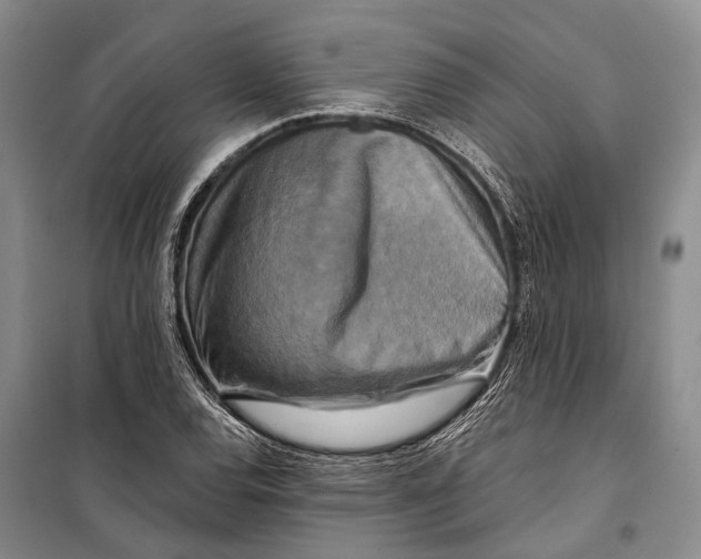 X0000098211120200805151246