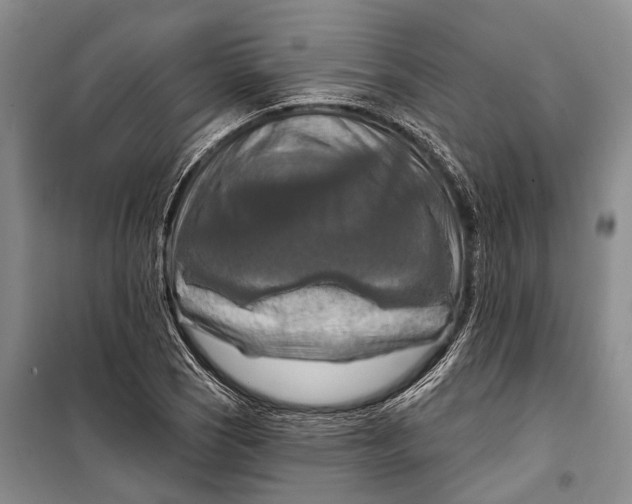 X0000098211121200805151246