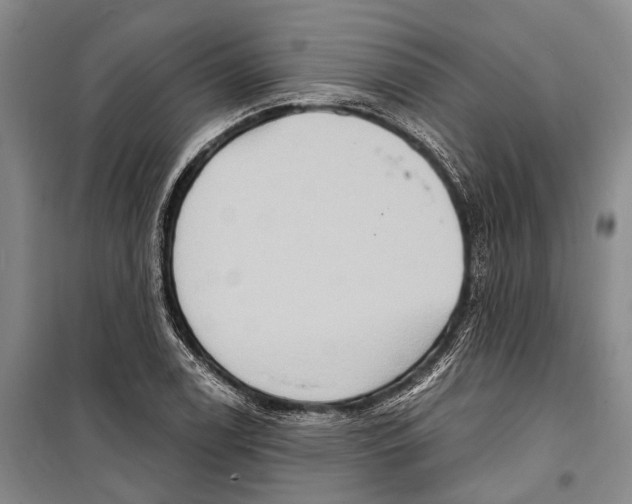 X0000098211122200805151246