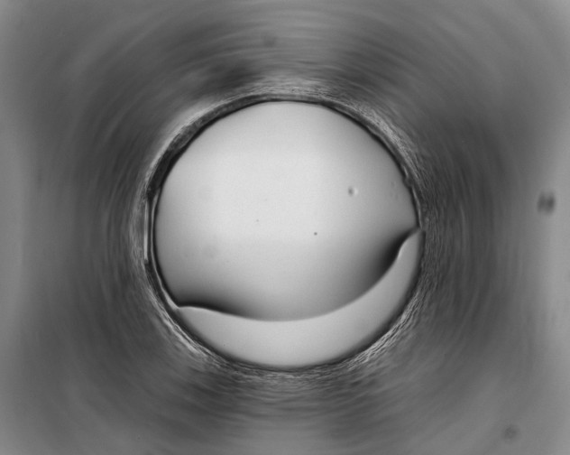 X0000098211123200805151246