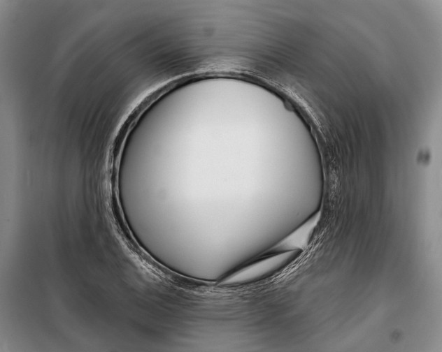 X0000098211124200805151246