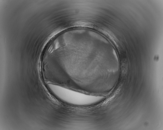 X0000098211125200805151246