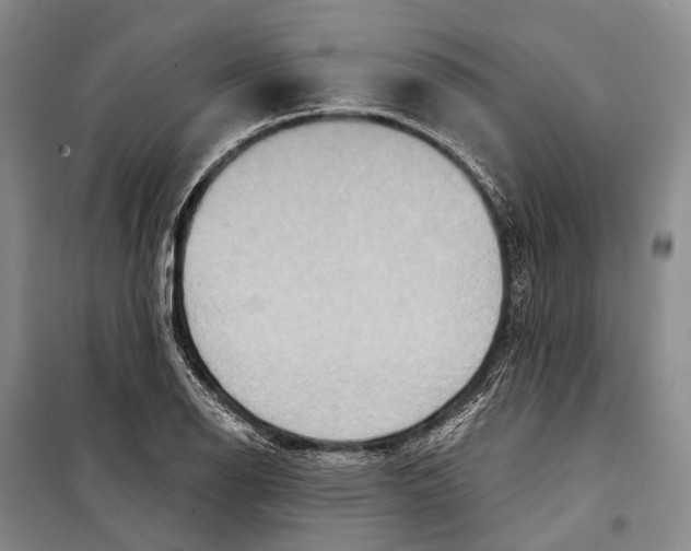 X0000098211126200805151246