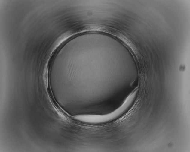 X0000098211127200805151246