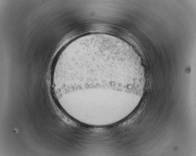 X0000098211130200805151246