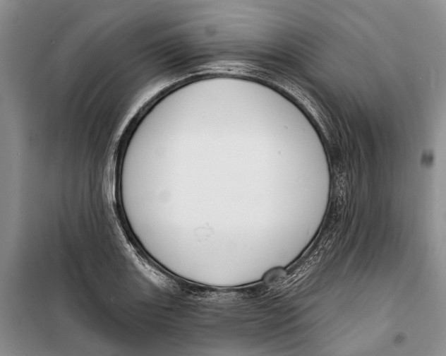 X0000098211131200805151246