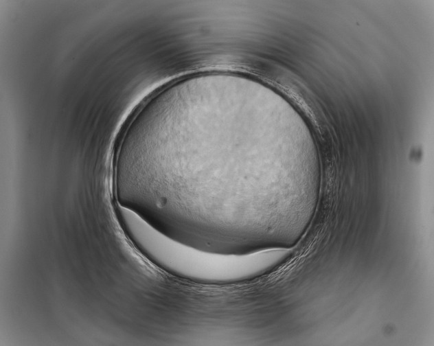 X0000098211132200805151246