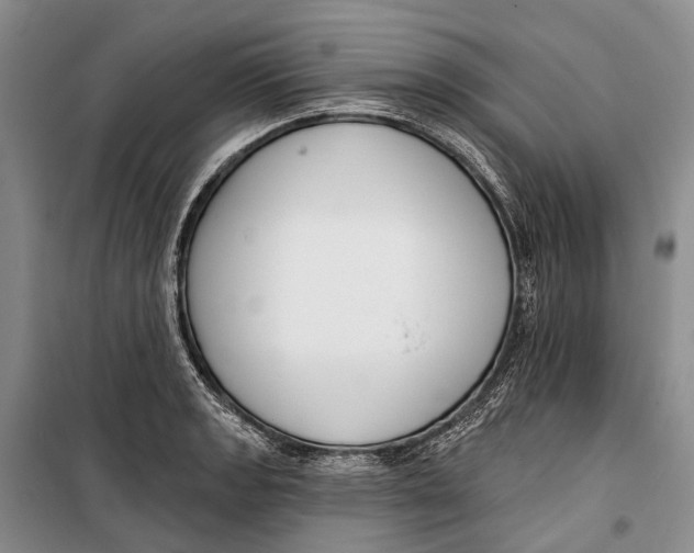 X0000098211133200805151246