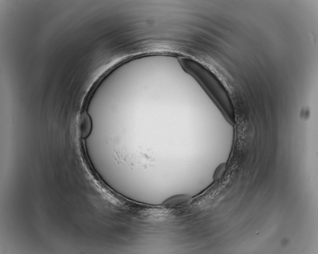 X0000098211134200805151246