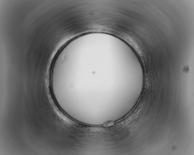 X0000098211136200805151246
