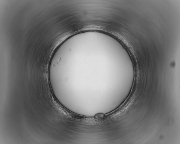 X0000098211137200805151246