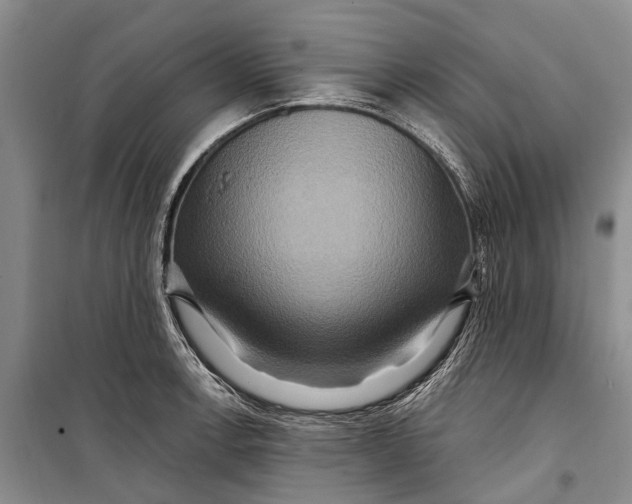 X0000098211138200805151246