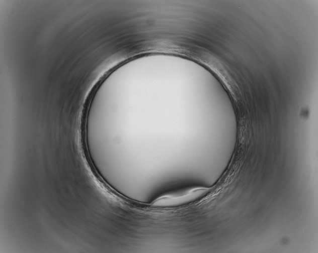 X0000098211139200805151246