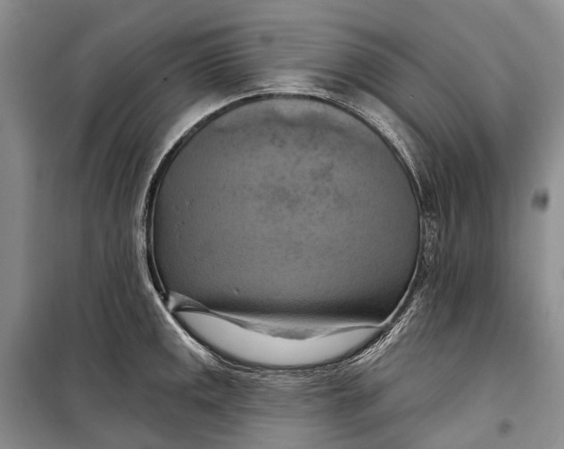 X0000098211141200805151246