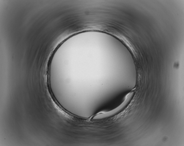 X0000098211143200805151246
