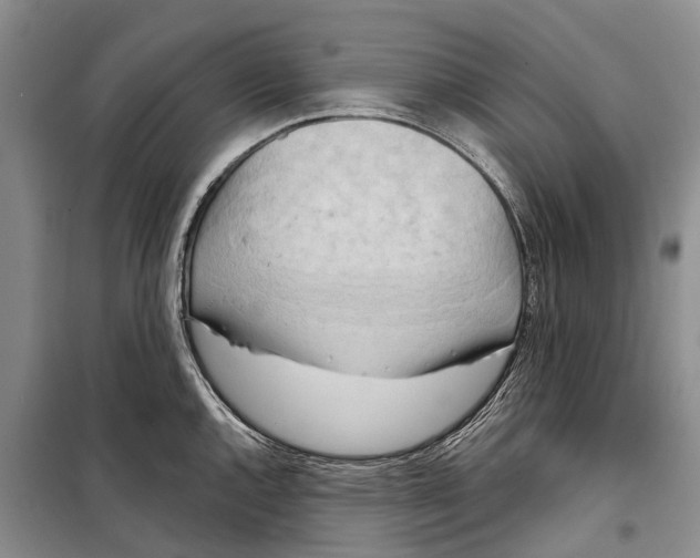 X0000098211144200805151246