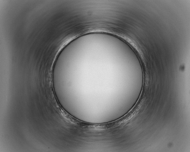 X0000098211145200805151246
