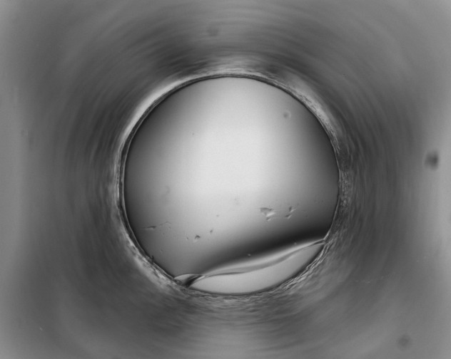 X0000098211148200805151246
