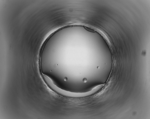 X0000098211149200805151246