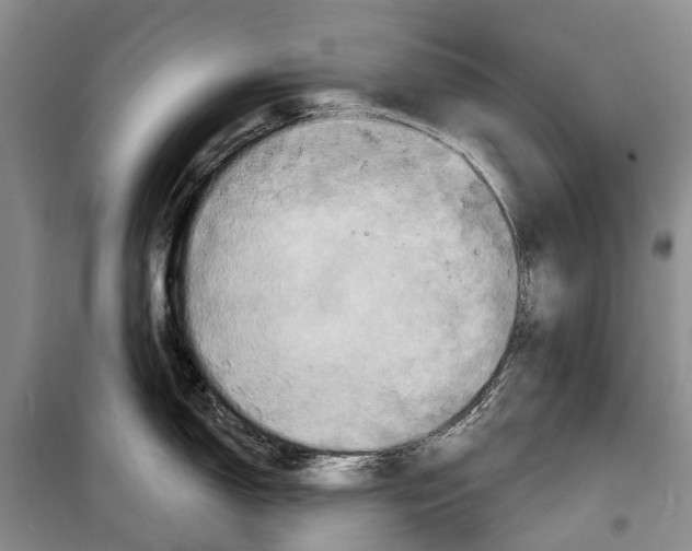 X0000098211150200805151246