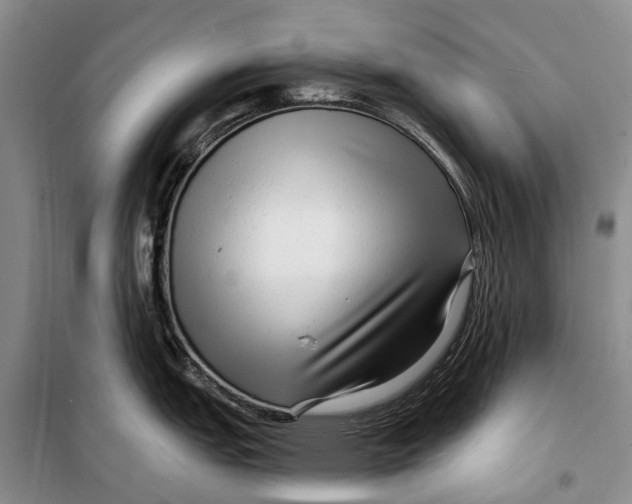 X0000098211151200805151246