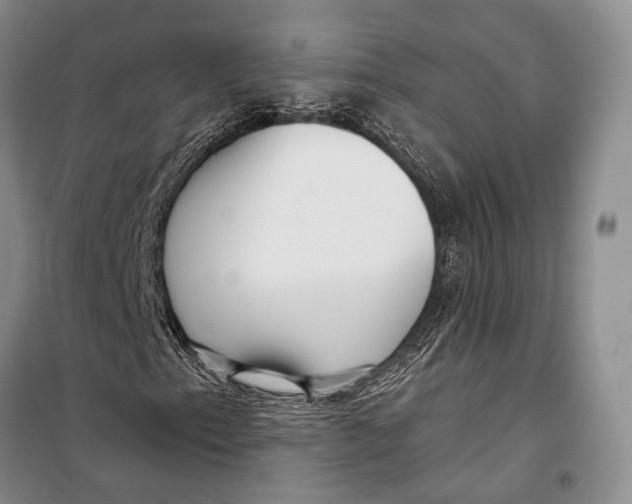 X0000098211153200805151246