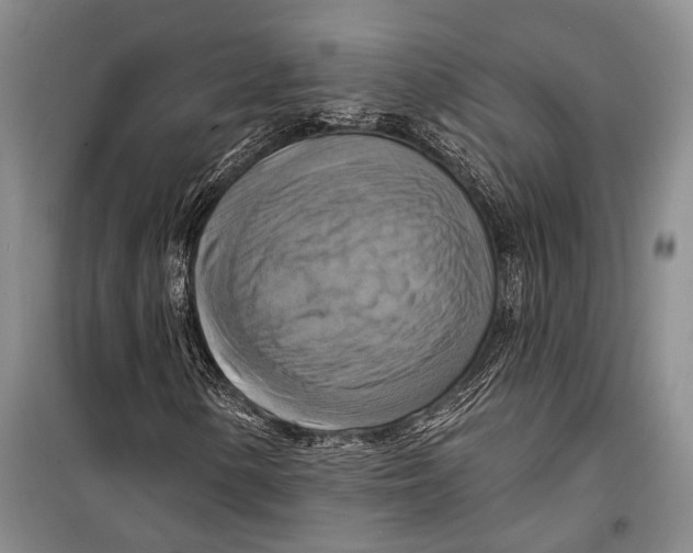 X0000098211154200805151246