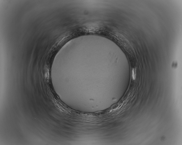 X0000098211155200805151246