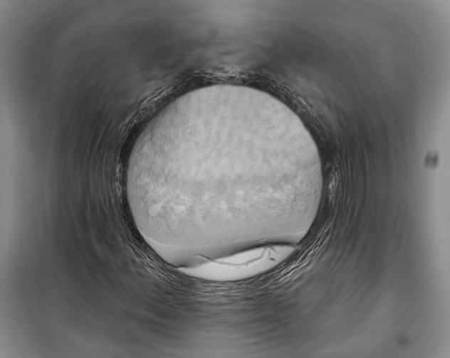 X0000098211156200805151246