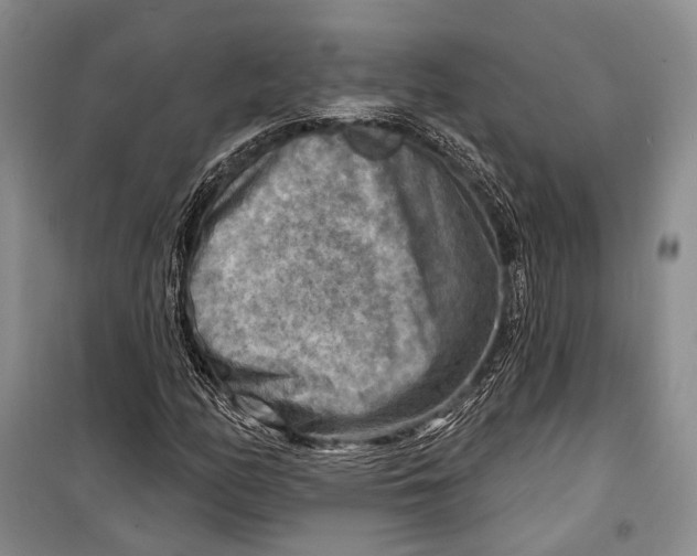 X0000098211158200805151245
