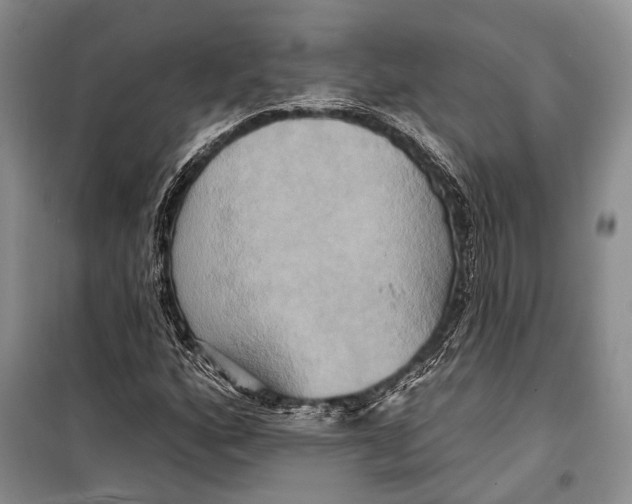 X0000098211160200805151245