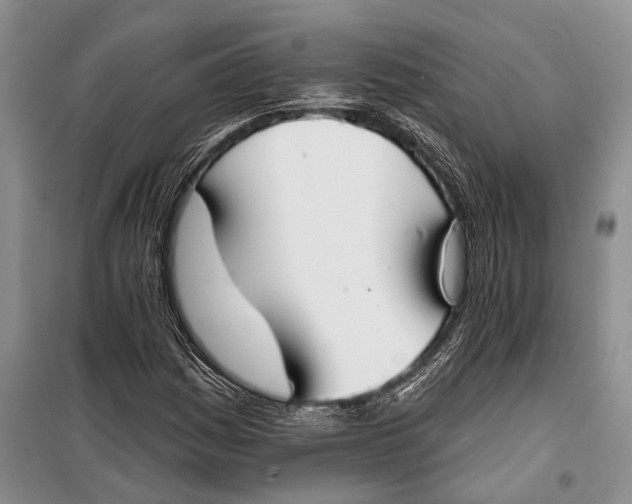 X0000098211161200805151245
