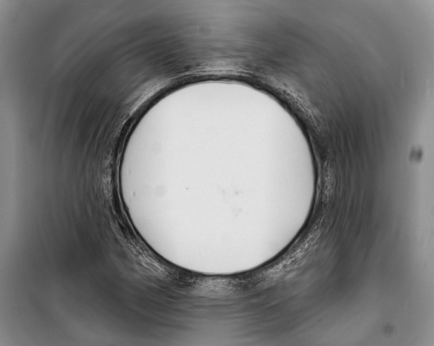 X0000098211162200805151245