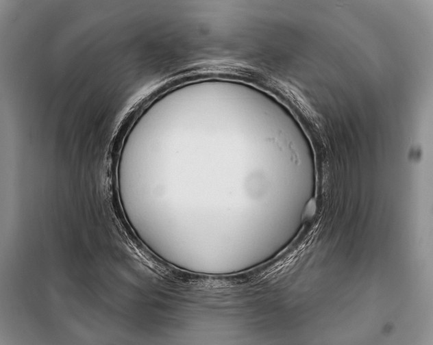 X0000098211164200805151245
