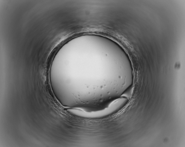 X0000098211165200805151245