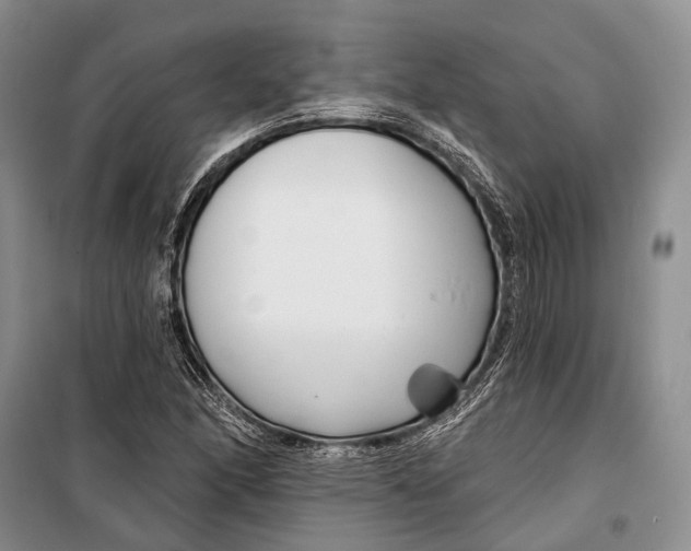 X0000098211166200805151245
