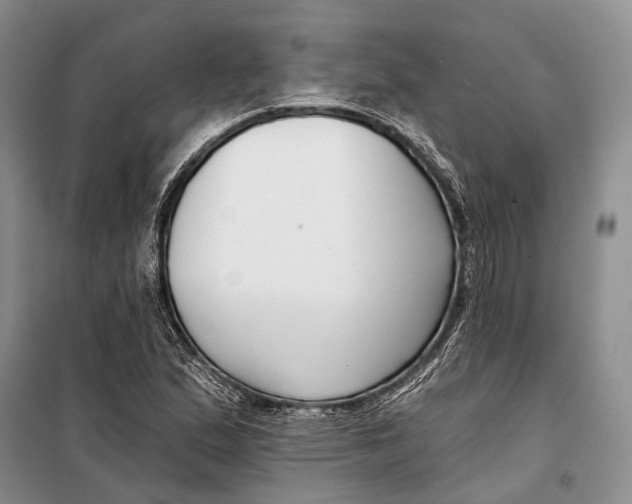 X0000098211167200805151245