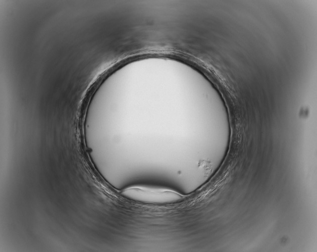X0000098211168200805151245