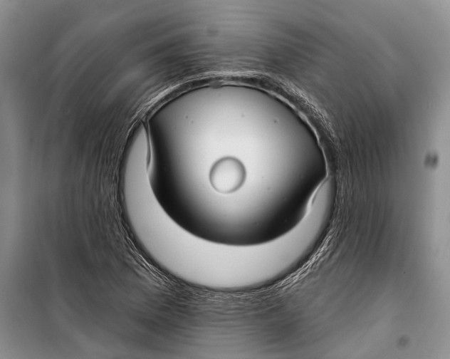 X0000098211169200805151245