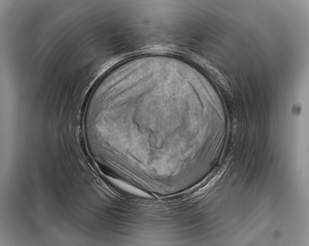 X0000098211170200805151245