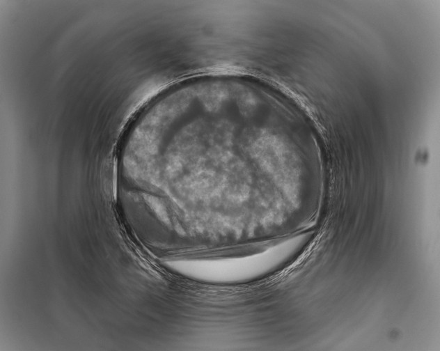 X0000098211171200805151245