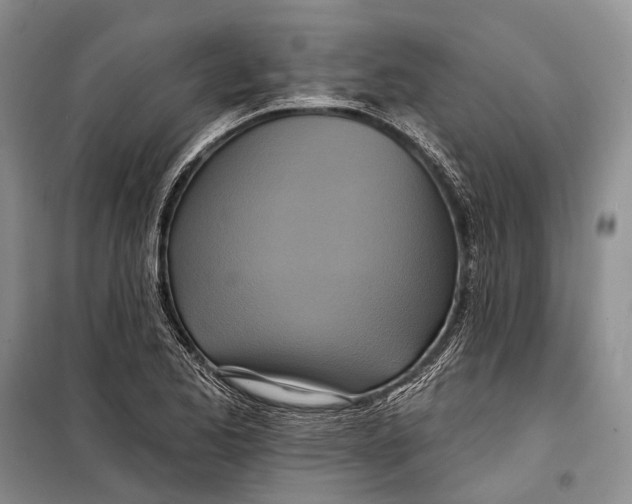 X0000098211173200805151245