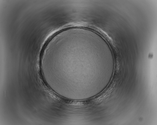 X0000098211174200805151245